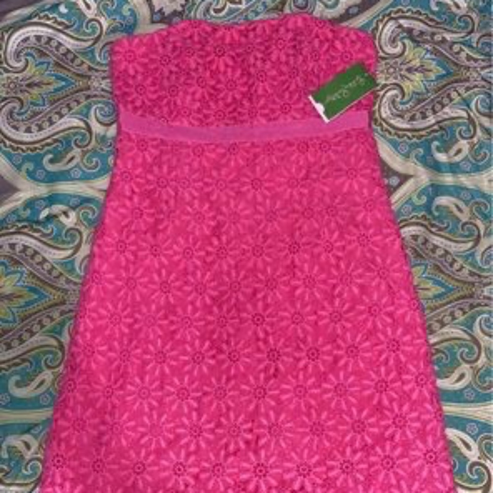 Lilly Pulitzer Bowen Pink Lace Over Dress Floral, size 4